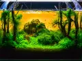 Un paysage aquatique luxuriant, une idée déco parfaite pour un aquarium vide. Des poissons bleus nagent dans une jungle verdoyante.
