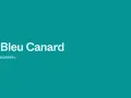 Un fond d'une teinte profonde de bleu canard ou vert canard, avec le texte "Bleu Canard" et le code hexadécimal #069494.