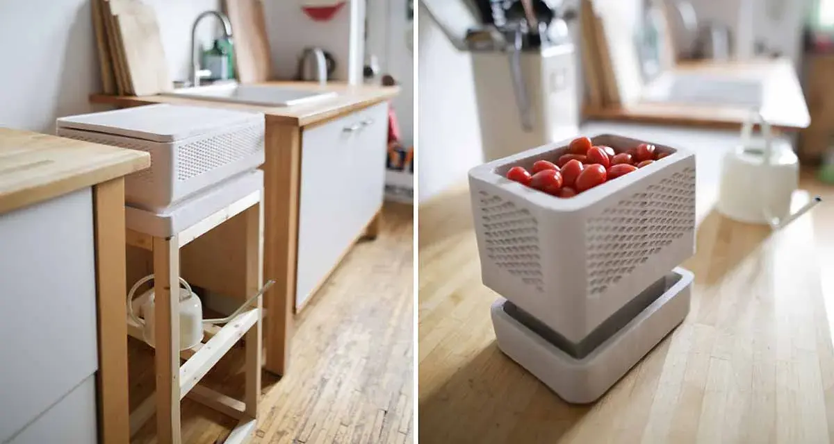 Un frigo sans électricité, un concept ingénieux pour conserver les aliments. Ici, des tomates cerises dans un récipient ajouré, sur un plan de travail en bois.