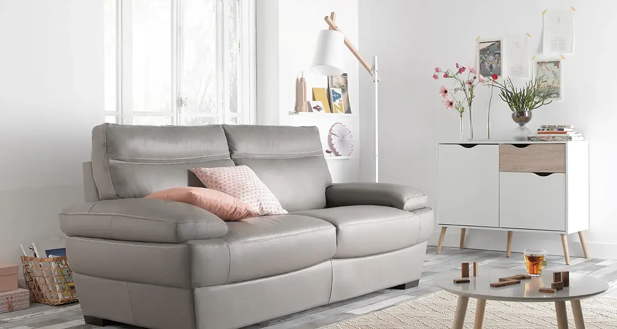 Un salon moderne avec un canapé gris confortable, des coussins roses et un petit tapis. Un meuble blanc et bois, une table basse et une plante verte complètent la scène.