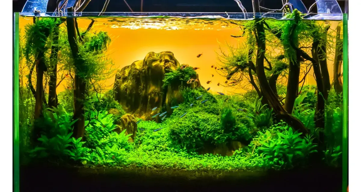 Un paysage aquatique luxuriant, une idée déco parfaite pour un aquarium vide. Des poissons bleus nagent dans une jungle verdoyante.