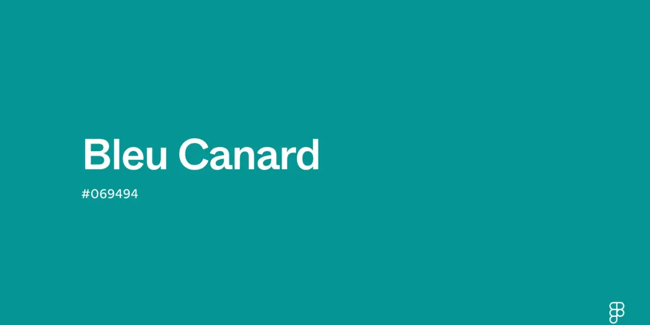 Un fond d'une teinte profonde de bleu canard ou vert canard, avec le texte "Bleu Canard" et le code hexadécimal #069494.