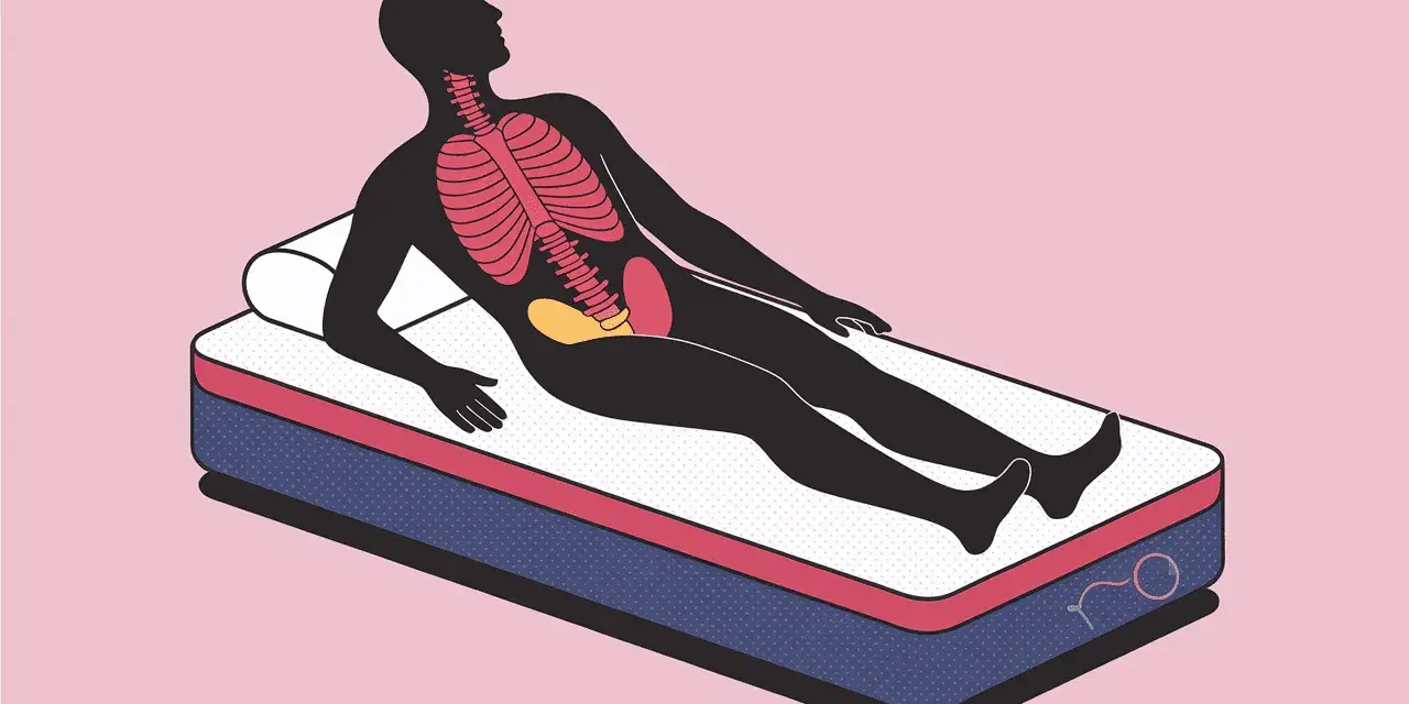 Silhouette d'une personne allongée sur un matelas mémoire de forme, montrant le squelette et les organes. Avis kiné sur le soutien.