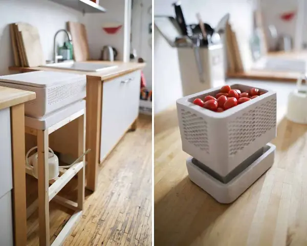 Un frigo sans électricité, un concept ingénieux pour conserver les aliments. Ici, des tomates cerises dans un récipient ajouré, sur un plan de travail en bois.