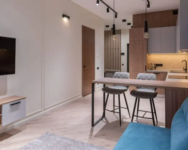 Un studio étudiant moderne avec coin cuisine, bar et salon. Idéal pour un deco studio etudiant fonctionnel et stylé.