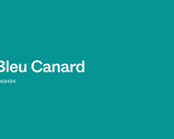 Un fond d'une teinte profonde de bleu canard ou vert canard, avec le texte "Bleu Canard" et le code hexadécimal #069494.