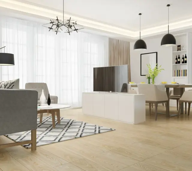 Un élégant salon et salle à manger dans la même pièce, avec un canapé gris, une table basse, une télévision et une table à manger.