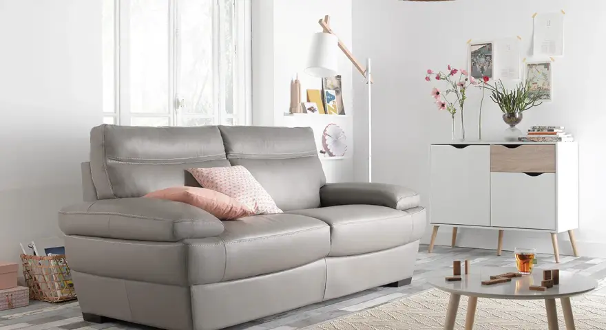 Un salon moderne avec un canapé gris confortable, des coussins roses et un petit tapis. Un meuble blanc et bois, une table basse et une plante verte complètent la scène.