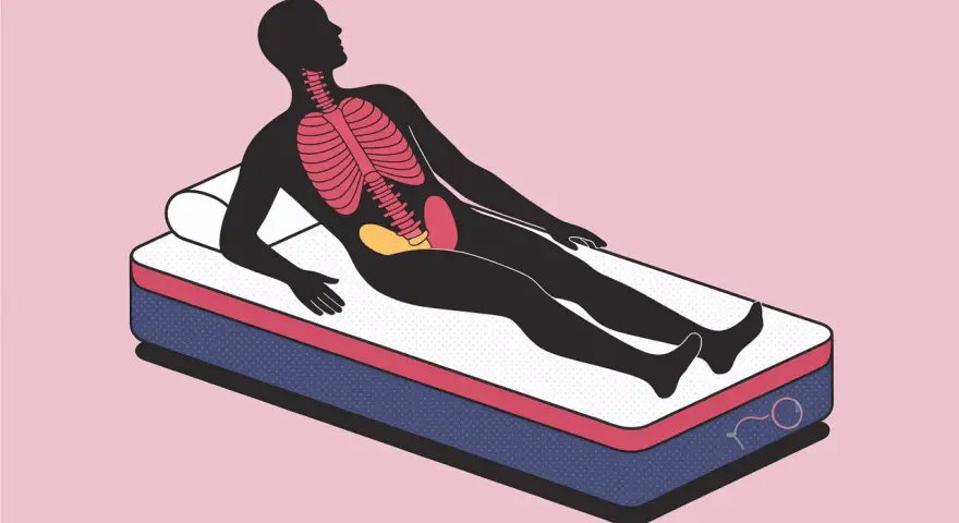 Silhouette d'une personne allongée sur un matelas mémoire de forme, montrant le squelette et les organes. Avis kiné sur le soutien.