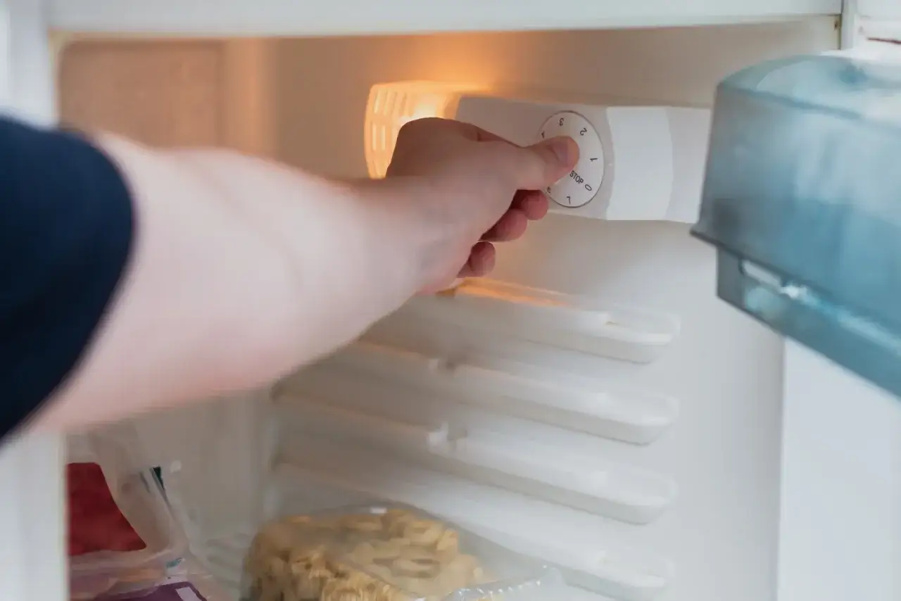 Main tenant ajuste le bouton de temp&eacute;rature du cong&eacute;lateur. On voit des aliments congel&eacute;s.