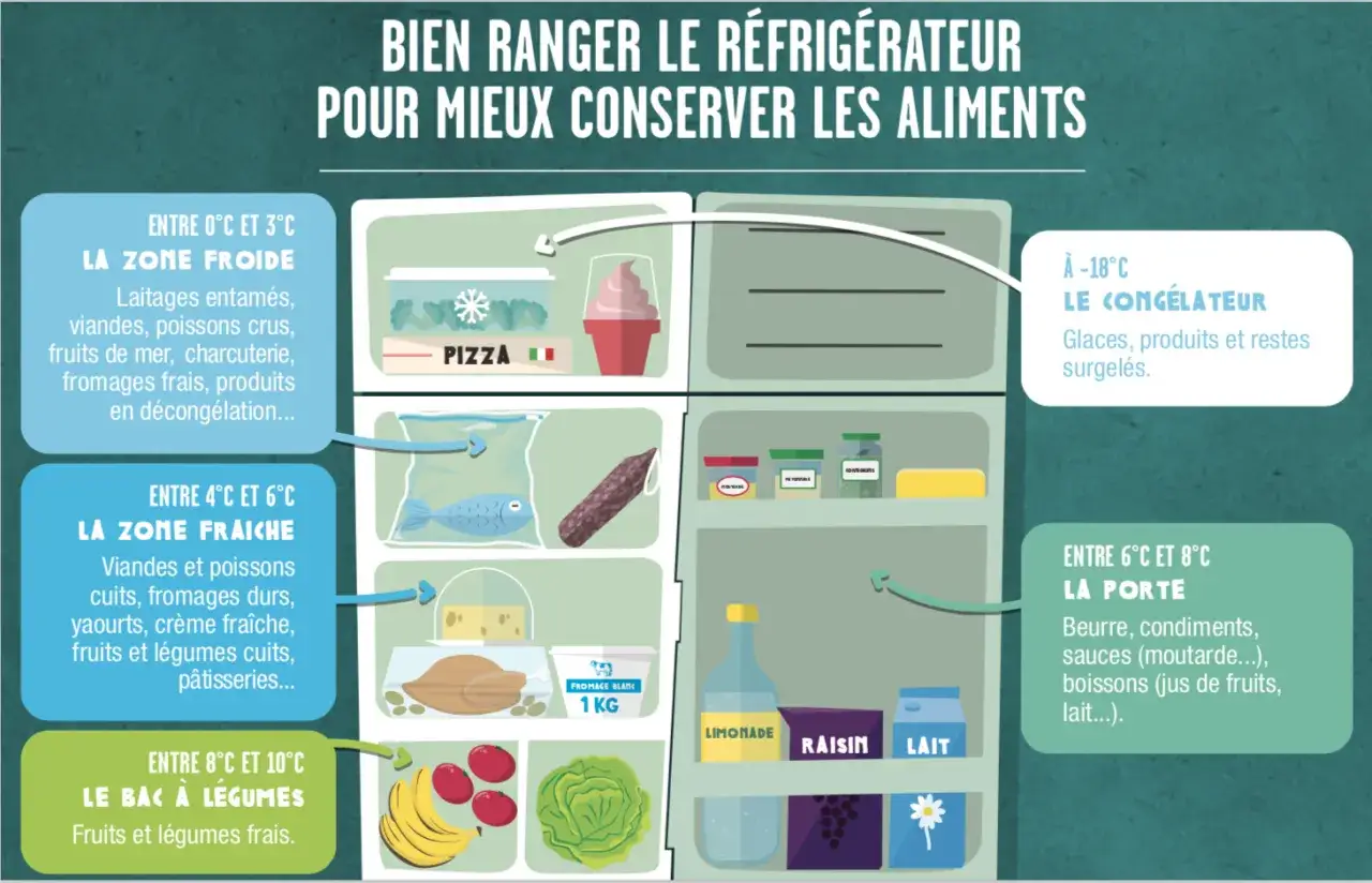 Guide pour le bon reglage frigo : la zone froide pour le cru, la zone fra&icirc;che pour le cuit, le bac &agrave; l&eacute;gumes pour les frais, et la porte pour les condiments.