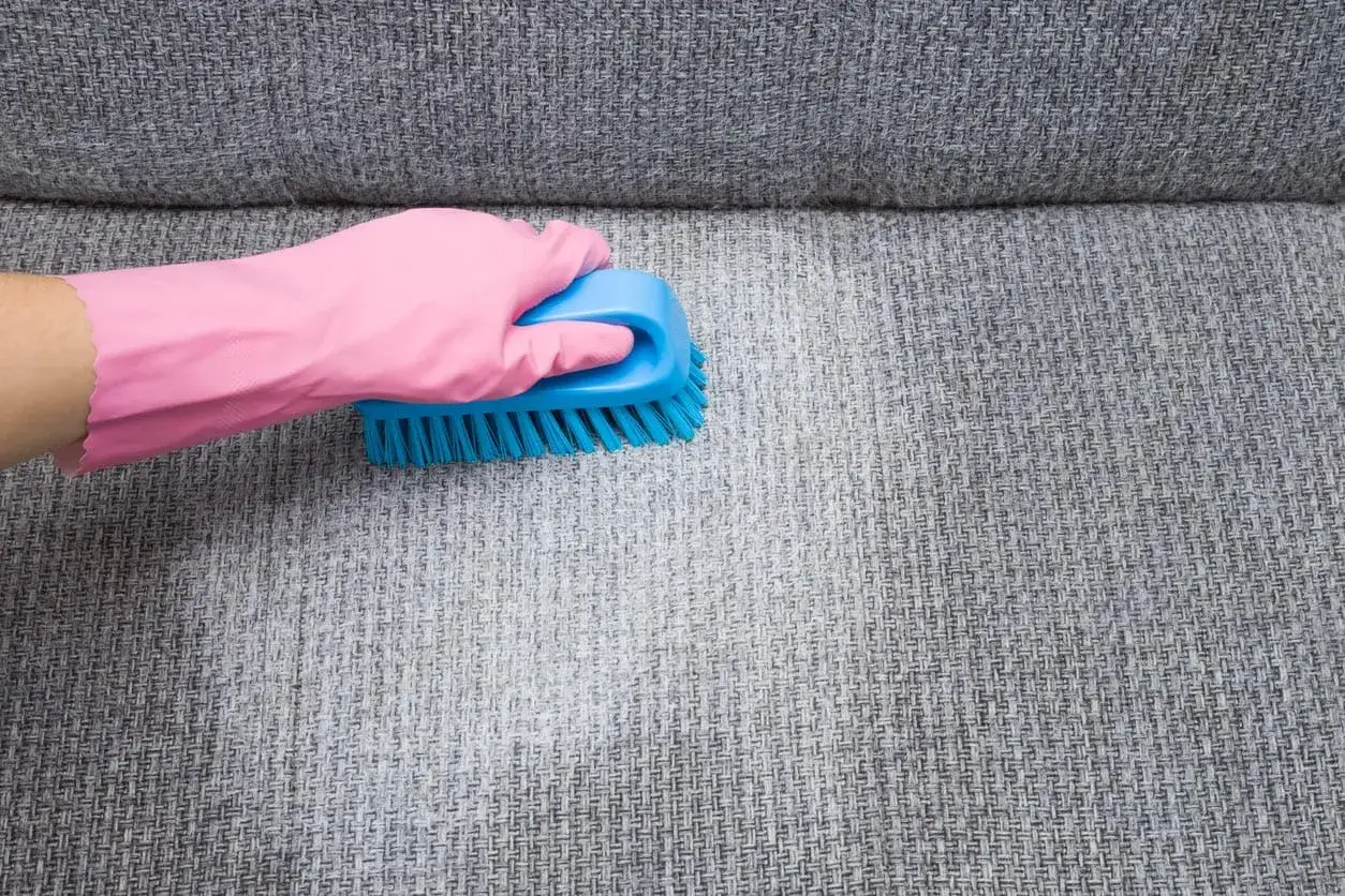 Main rose, brosse bleue frottent le tissu d'un canap&eacute; pour &eacute;liminer une mauvaise odeur.